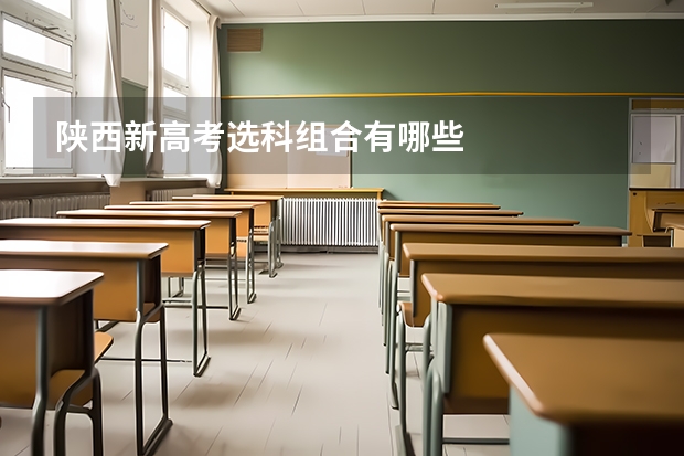 陕西新高考选科组合有哪些