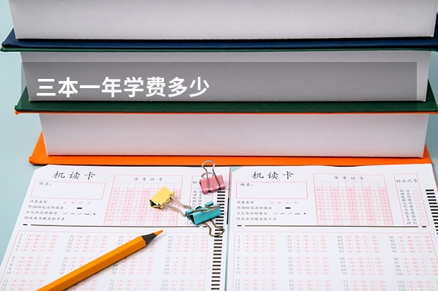 三本一年学费多少