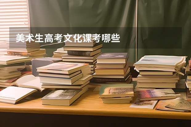 美术生高考文化课考哪些