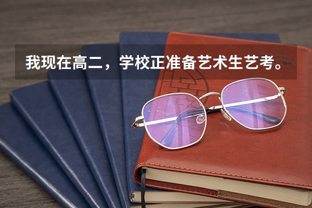 我现在高二，学校正准备艺术生艺考。我想学美术，以后去学动画设计，可以吗？有什么出路?