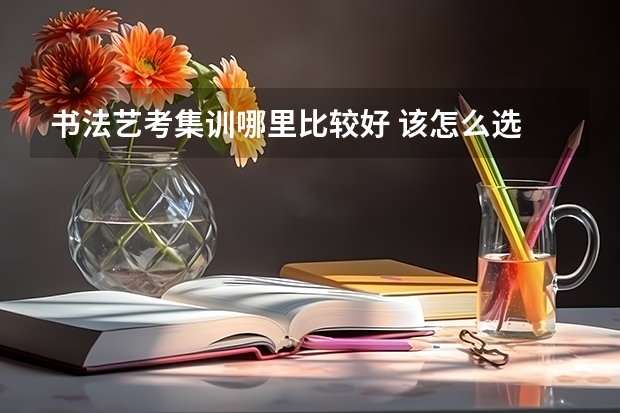 书法艺考集训哪里比较好 该怎么选
