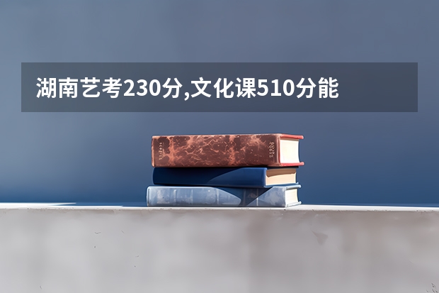 湖南艺考230分,文化课510分能上什么大学如果有这个分，想报考外省的美术生？
