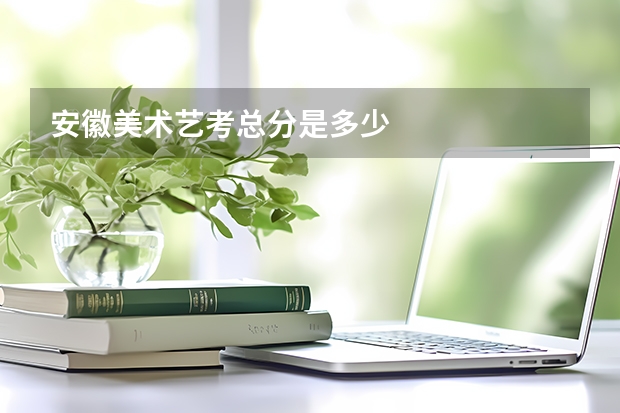 安徽美术艺考总分是多少