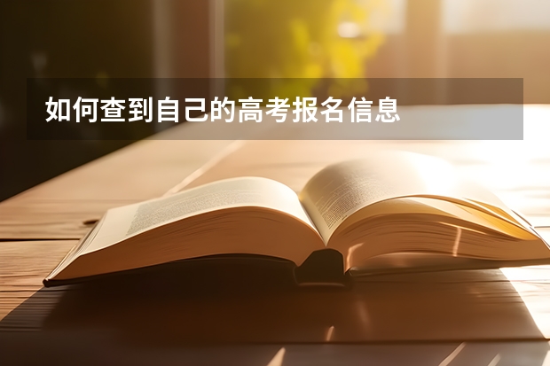 如何查到自己的高考报名信息