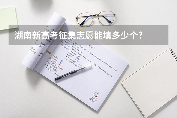 湖南新高考征集志愿能填多少个?