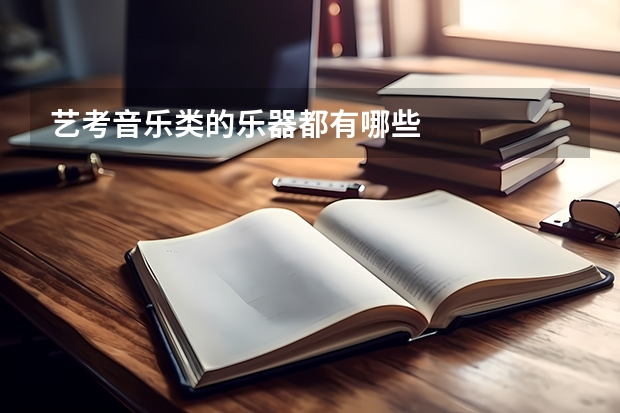 艺考音乐类的乐器都有哪些