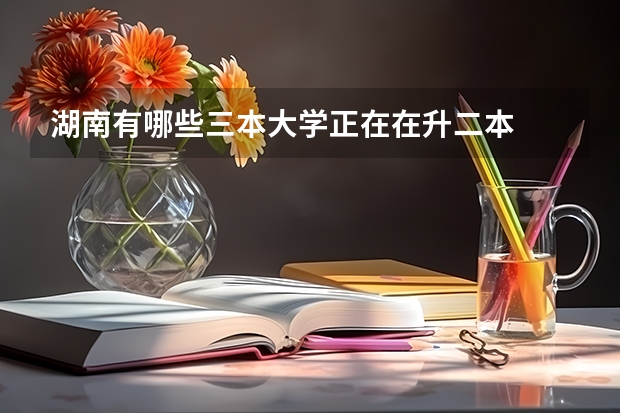 湖南有哪些三本大学正在在升二本