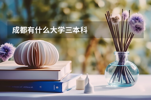 成都有什么大学三本科