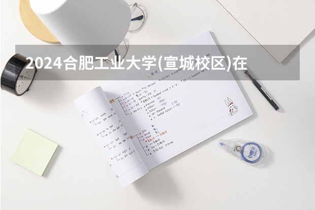 2024合肥工业大学(宣城校区)在河北招生计划表