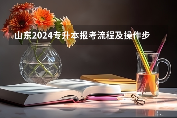 山东2024专升本报考流程及操作步骤是什么