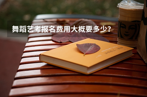 舞蹈艺考报名费用大概要多少？