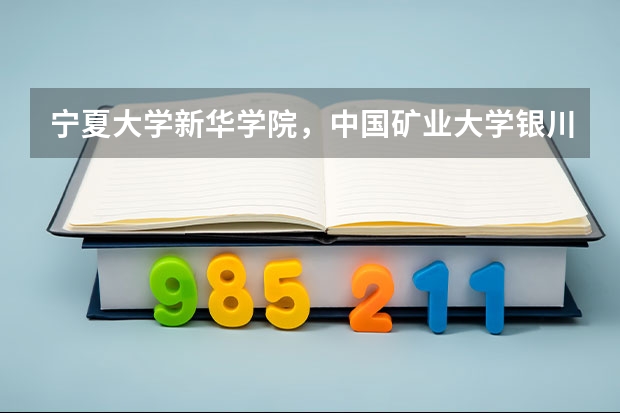 宁夏大学新华学院，中国矿业大学银川学院，银川能源学院，宁夏理工学院，这四个三本学校哪个好