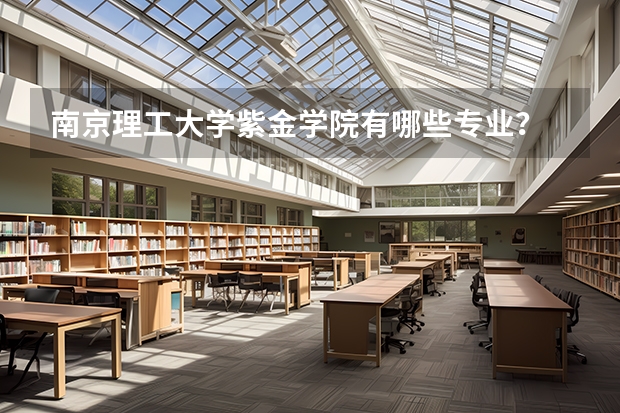 南京理工大学紫金学院有哪些专业？