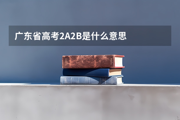 广东省高考2A2B是什么意思