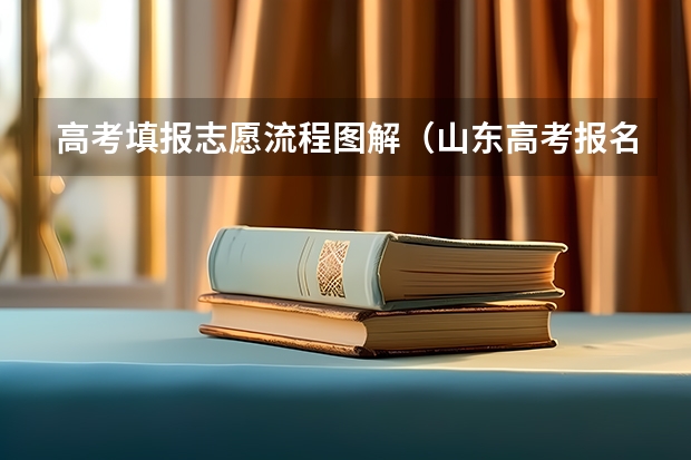 高考填报志愿流程图解（山东高考报名流程）