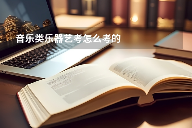 音乐类乐器艺考怎么考的
