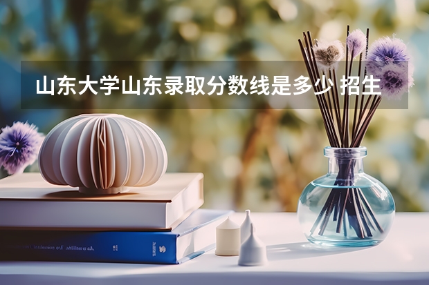 山东大学山东录取分数线是多少 招生人数是多少