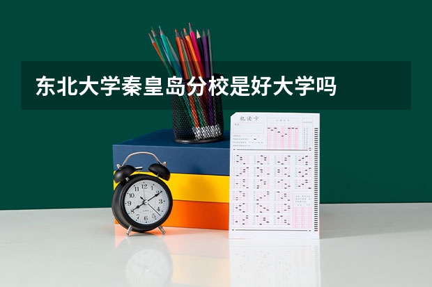 东北大学秦皇岛分校是好大学吗