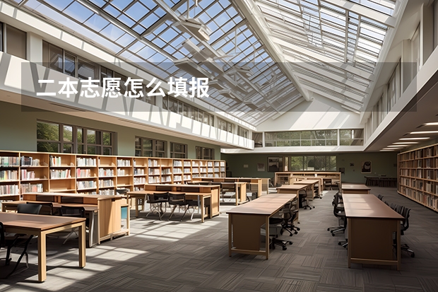 二本志愿怎么填报