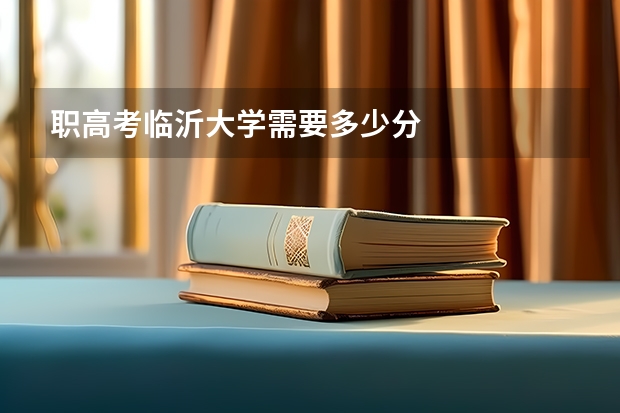 职高考临沂大学需要多少分