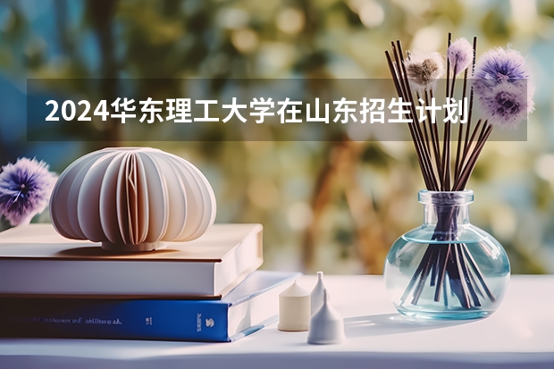 2024华东理工大学在山东招生计划表