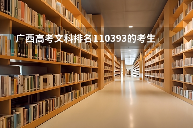 广西高考文科排名110393的考生报什么大学
