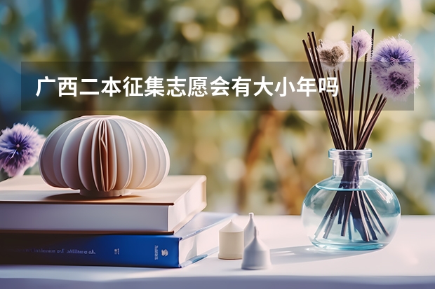 广西二本征集志愿会有大小年吗