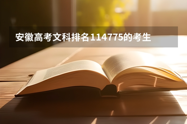 安徽高考文科排名114775的考生报什么大学