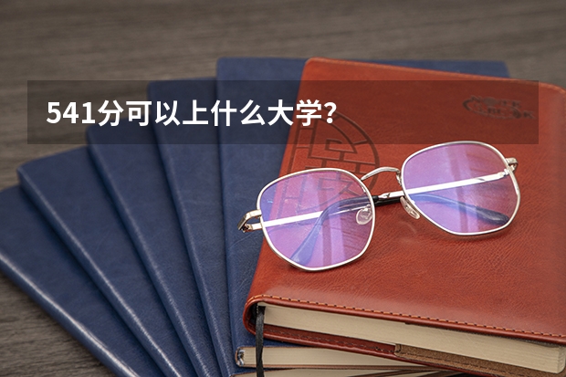 541分可以上什么大学?
