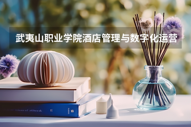 武夷山职业学院酒店管理与数字化运营专业分数线是多少(近三年分数线一览)