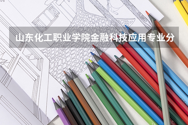 山东化工职业学院金融科技应用专业分数线是多少(近三年分数线一览)