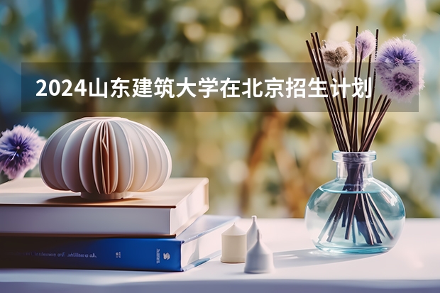 2024山东建筑大学在北京招生计划表