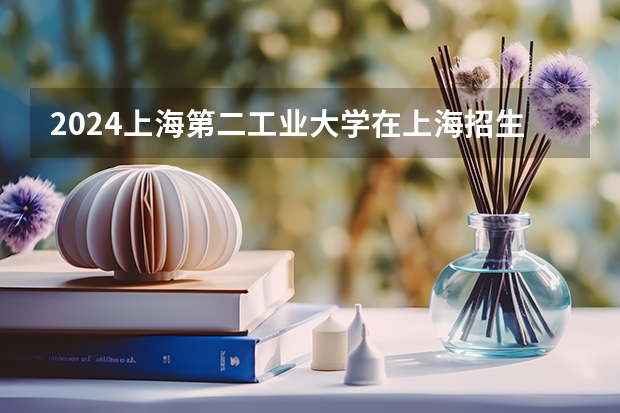 2024上海第二工业大学在上海招生计划表