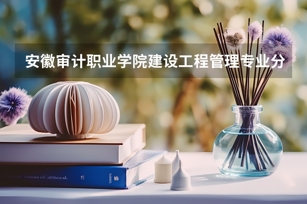 安徽审计职业学院建设工程管理专业分数线是多少(近三年分数线一览)
