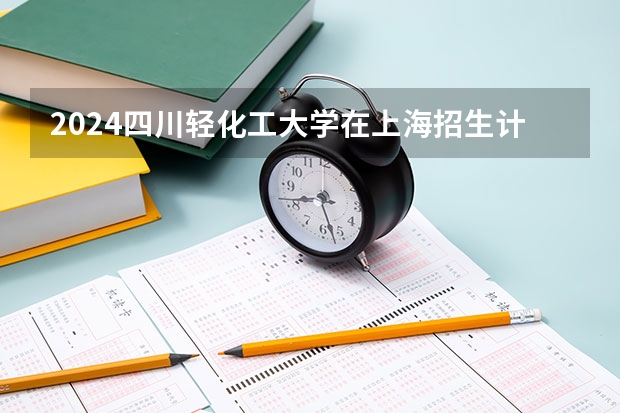 2024四川轻化工大学在上海招生计划表