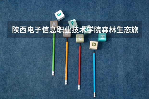 陕西电子信息职业技术学院森林生态旅游专业分数线是多少(近三年分数线一览)