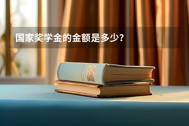 国家奖学金的金额是多少？