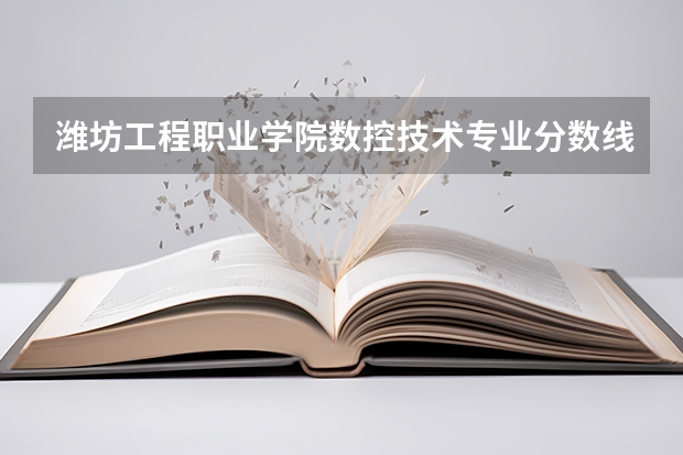 潍坊工程职业学院数控技术专业分数线是多少(近三年分数线一览)